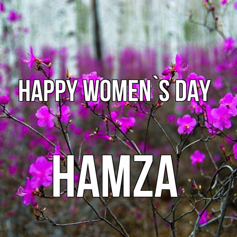 Greetings card с именем, Hamza happy women`s day дикие цветы Greetings with text for free download 